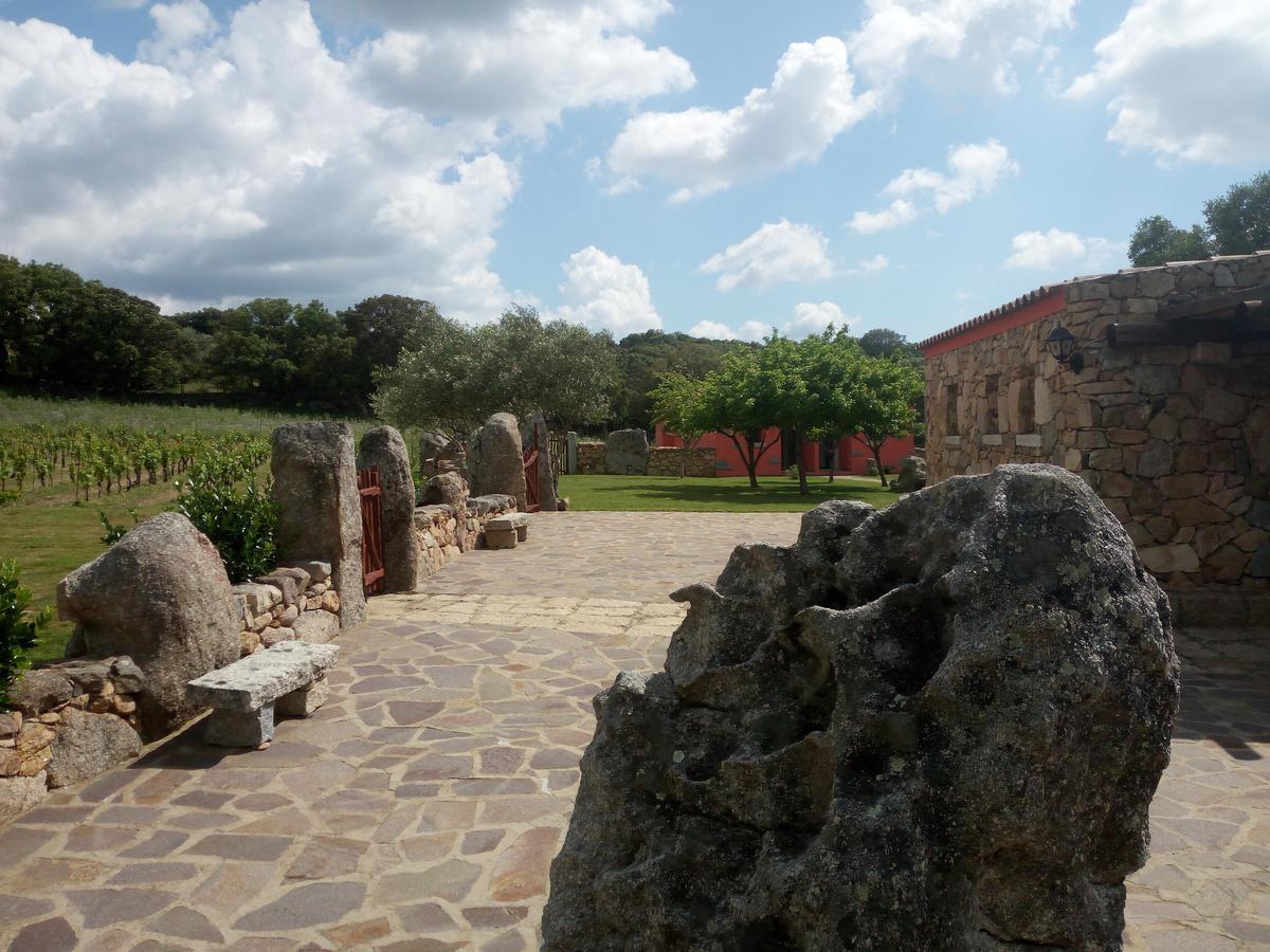 圣安托尼奥迪加卢拉Turismo Rurale L'Agliuledda别墅 外观 照片